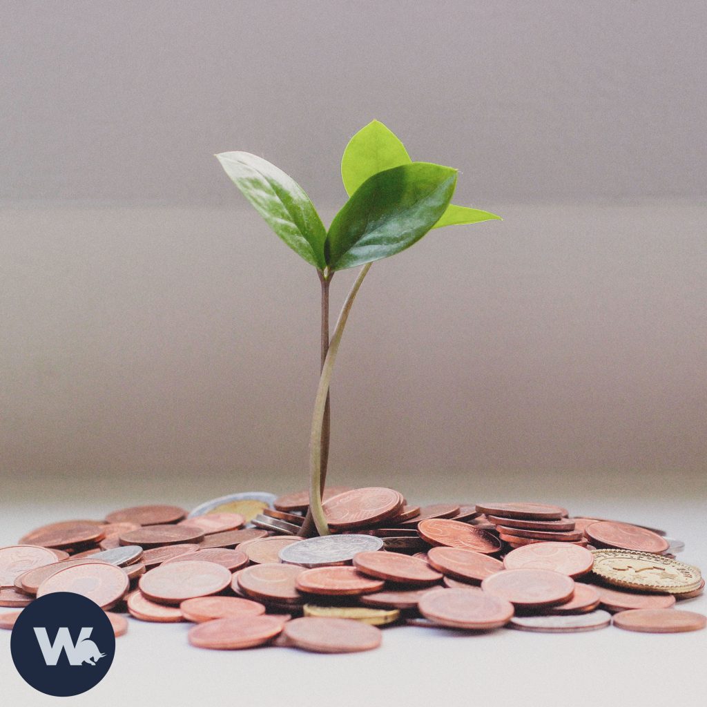 Eine Pflanze wächst aus einem Berg voller Münzen. Es verdeutlicht, dass Finanzwachstum auch in Zeiten von Inflation möglich ist.